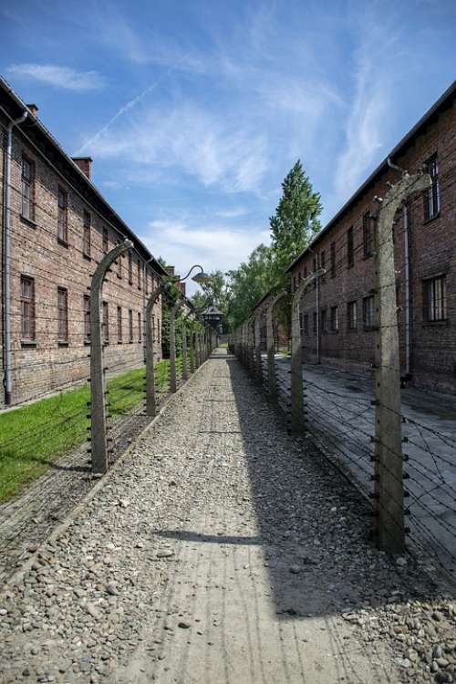 Auschwitz Criminal Camp Death Camp War