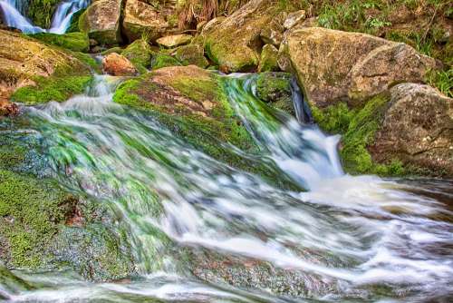 Bach Water Waterfall Current Forest Nature