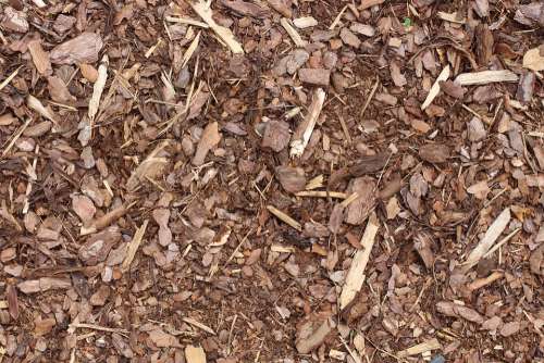 Bark Mulch Texture Background Snippets Wood