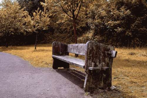 Bench Park Wooden Bench Trees Autumn Fall Seat