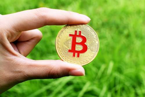 Bitcoin Fingers Held Grass Btc Money Currency