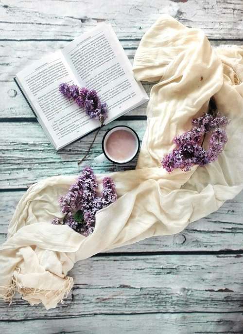 Book Lilac Flowers Cocoa Drink Reading Hobby