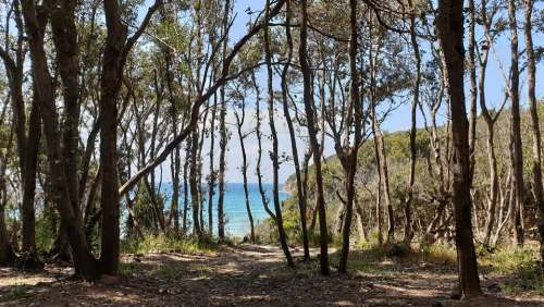 Cala Violina Maremma Tuscany Clouds Sea Summer