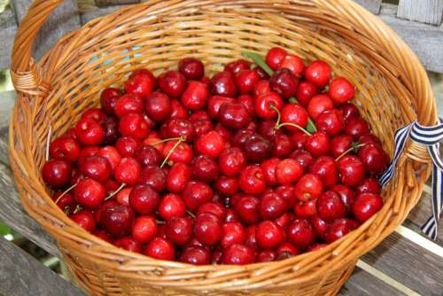 Cherries Basket Fruit Garden Nature Harvest