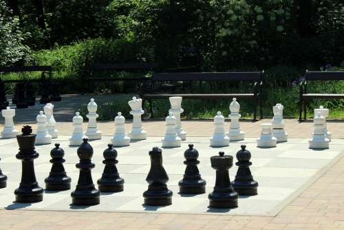Chess Pawns Play The Strategy Checkerboard Game