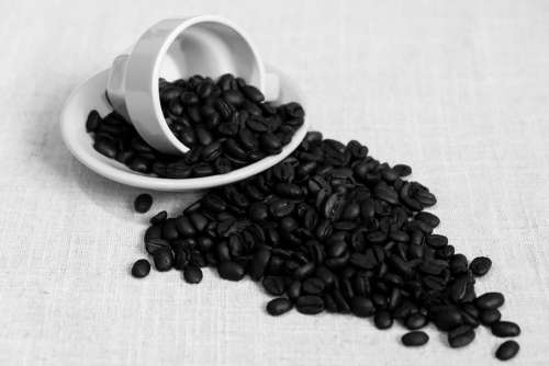 Coffee Beans Arabica Cafe Espresso Teacup