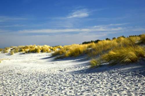 Dunes Dune Landscape Beach Sand Beach Marram Grass