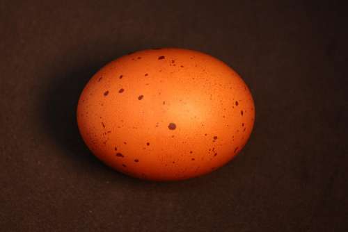 Egg Brown Food Eggshell Hen'S Egg Nutrition Eat