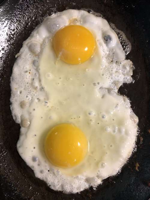 Eggs Breakfast Fried Egg Food Protein Healthy