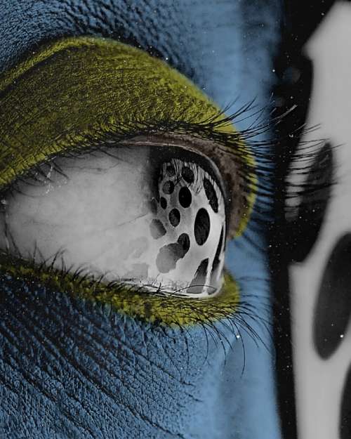 Eyeball Macro Culture Eye Iris Reflection