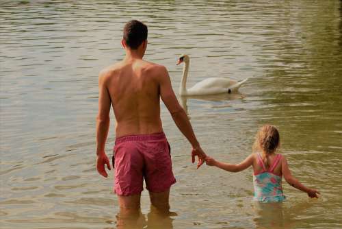 Father Daughter Hand In Hand Lake Swan Together