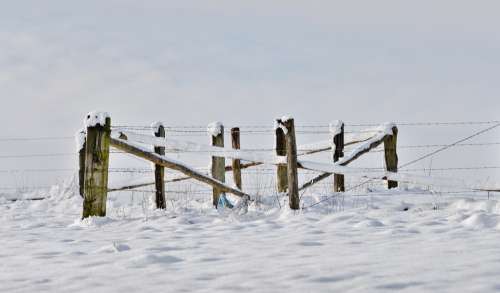 Fence Snow Landscape Wintry Cold Winter