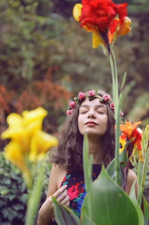 Flowers Girl Woman Person Beauty Face Floral