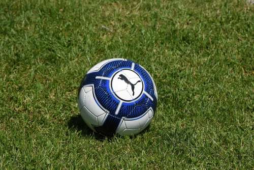 Football Ball Puma Mark Logo Grass Sport