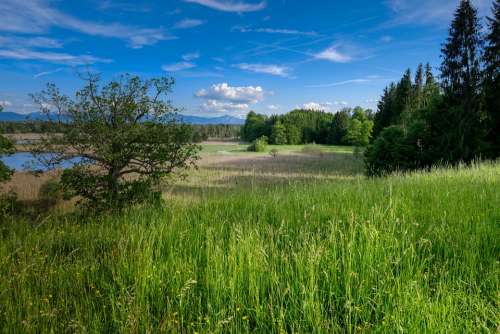 Foothills Of The Grass Meadow Hill Nature Rural