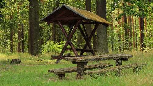 Forest Resting Place Bench Rest Seat Click