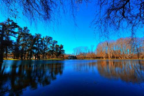 Forest Water Landscape Nature Trees Lake Scenic