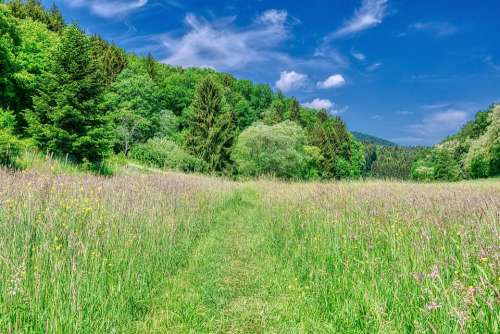 Front Weidenthal Has Gorgeous Clouds Trees Meadow