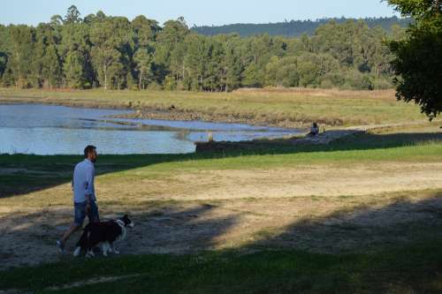 Galicia Border Collie Walk Dog