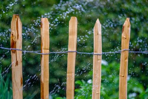 Garden Hose Water Irrigation Summer Nature Wet