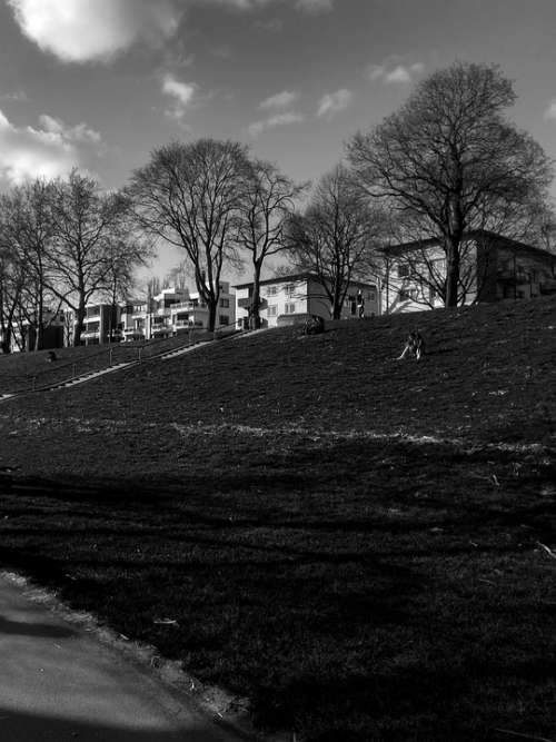 Germany Bremen Easter Dyke Landscape Spring