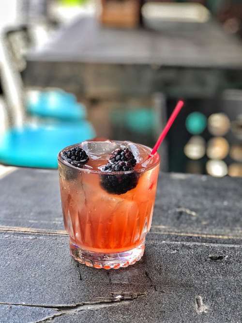 Gin Blackberry Cocktail Summer Fruit Refreshment
