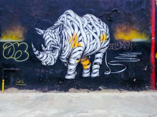Graffiti Rhino Background Wall Animal Murals