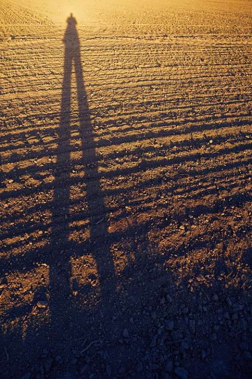 Ground Shadow Person Dry Field Structure Contrast