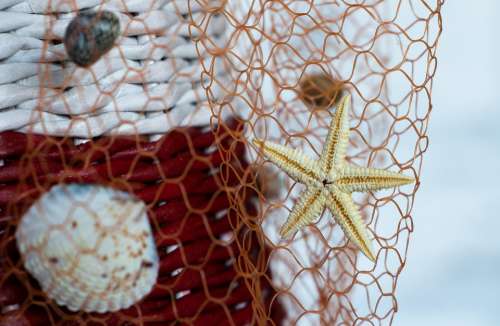 Handmade Seashells Network Seafood Starfish Net