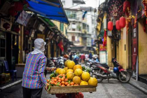 Hanoi Vietnam Old Town Colorful Leaf Fruit