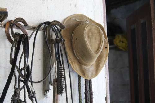 Hat Horse Stable Cowboy