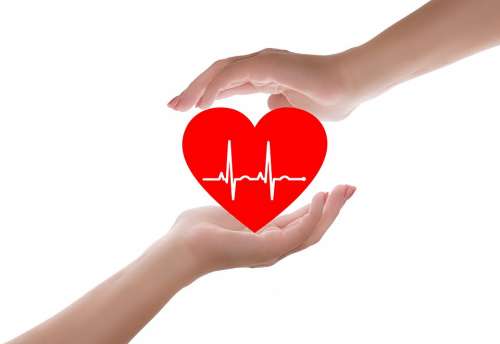Heart Heart Care Heart Health Doctor Care Medical