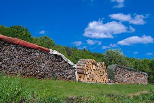 Holzstapel Timber Camp Wood Firewood Growing Stock