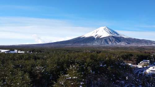 Japan Fuji Mountain Mt Fuji Forest Winter Nature
