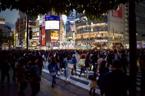 Japan Human Tokyo Night Lights