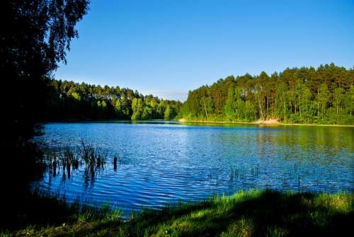 Lake Water Landscape Tree Sky