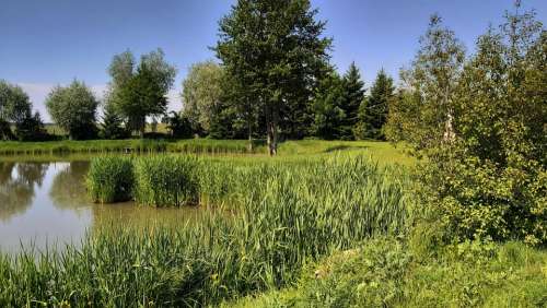 Landscape Pond Lake Nature Reflection Spring Mood
