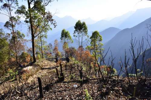 Landscape Mountain Kodaikanal Mountains Nature