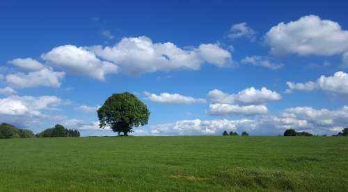 Landscape Sky Clouds Tree Atmosphere Hill Scenic