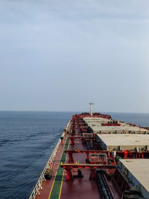 Loading Unloading Bulk Carrier Grain Japan Ship
