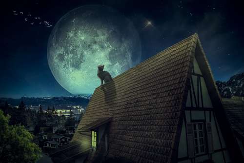 Manipulation Roof Village Cat Full Moon Stars