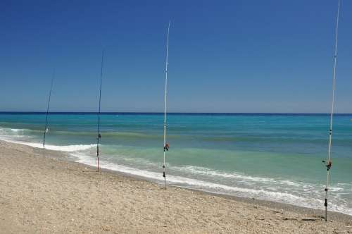 Mediterranean Fish Sea Fishing Beach Coast