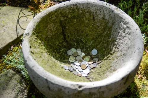 Money Coins Wealth Bowl