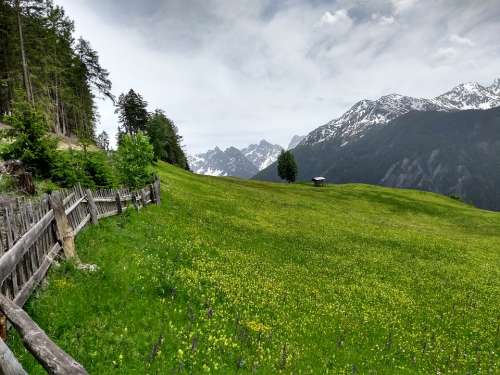 Mountains Alpine Austria Tyrol Beautiful Meadow
