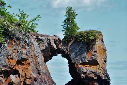 Nature Alone Landscape Bridge