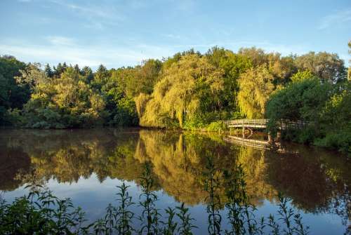 Nature Enschede The Netherlands Pond Bridge