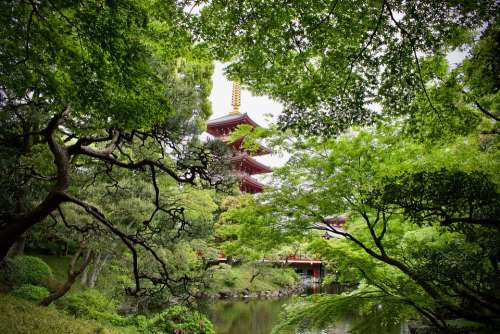 Nature Pagoda Temple Japan Garden