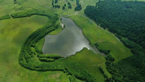 Nature Wild Lake Wildlife Atmosphere Green