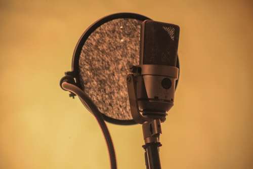 Neuman Microphone Recording Music Audio Team