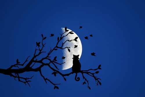 Night Moon Cat Branch Mystical Silhouette